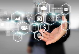 所志國軟文寫作案例 不靠廣告靠口碑，誠信服務(wù)成就電子商務(wù)新典范